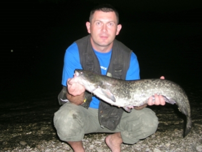 Šoštar Krešimir